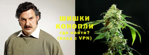 прущие грибы Верхнеуральск