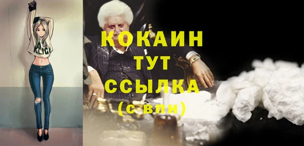 mix Бородино