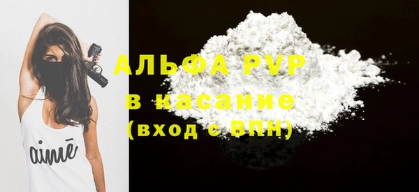 индика Богородск