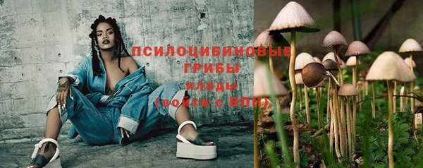 гидра Верхний Тагил