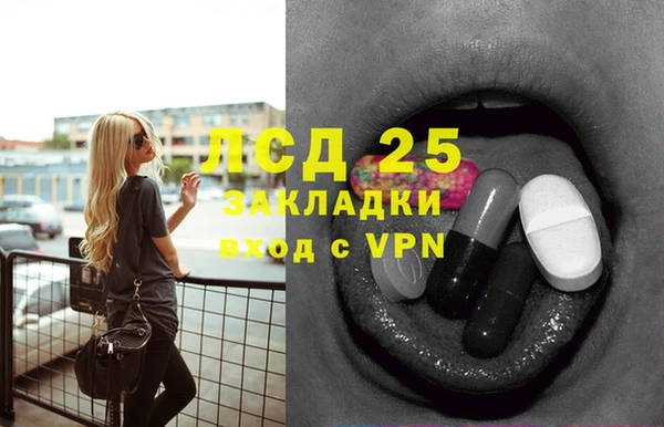 ПСИЛОЦИБИНОВЫЕ ГРИБЫ Бугульма