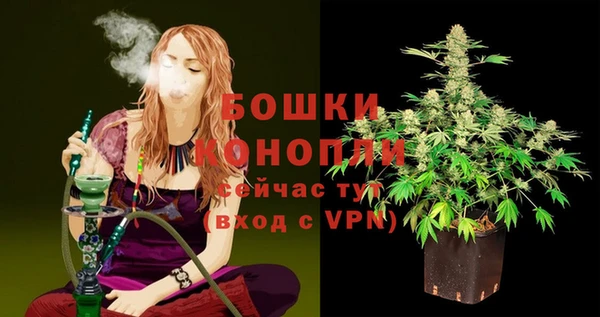 гидра Верхний Тагил
